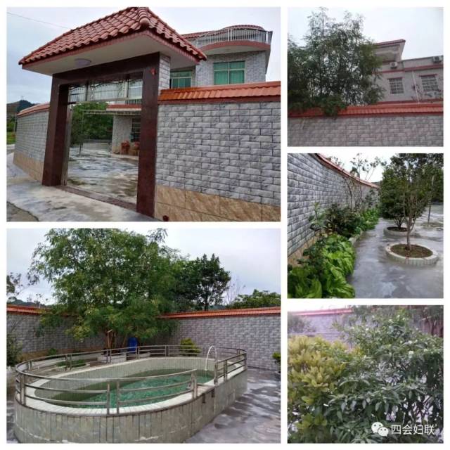 10户“罗源镇最美庭院”出炉，快看看是哪些庭院，美在哪里