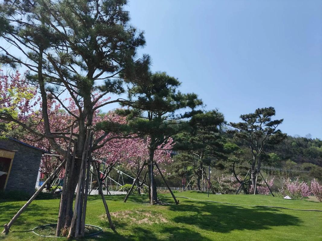 别墅庭院花园效果图 影视基地随手一拍，便是惊艳的庭院别墅生活